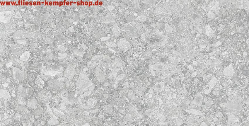 Fliese Pietra silber 75x150 cm, Bodenfliese / Wandfliese