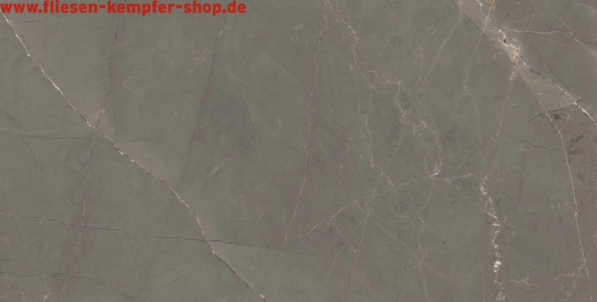 Fliese Amandus taupe matt 120x280 cm, Bodenfliese / Wandfliese