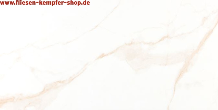 Fliese Essenz Gold poliert 60x60 cm Bodenfliese / Wandfliese