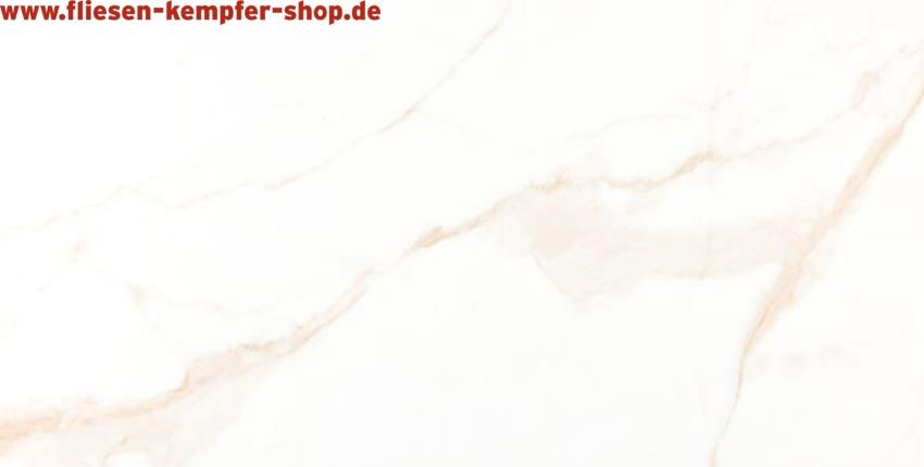 Fliese Essenz Gold poliert 60x60 cm Bodenfliese / Wandfliese