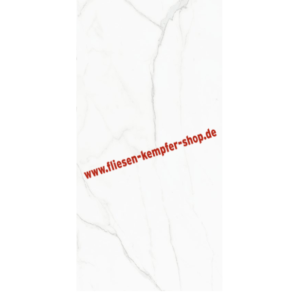 XXL-Fliese Status P natural matt 120x240 cm, Bodenfliese / Wandfliese, Outlet