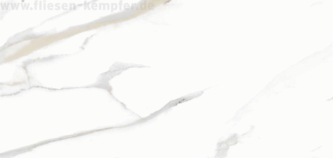 XXL-Fliese Marmor grau-beige Hochglanz 120x260 cm