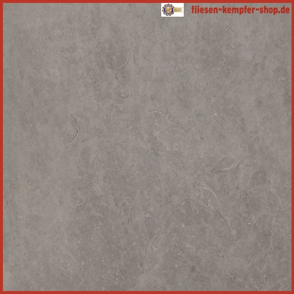 Fliese Bolvar taupe 60 x 60 cm