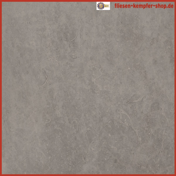 Fliese Bolvar taupe 60x60 cm, Bodenfliese / Wandfliese