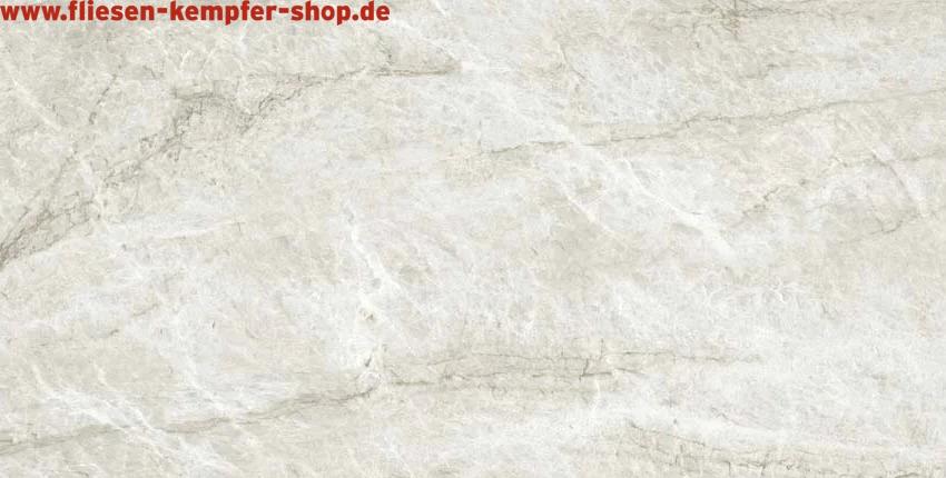 Fliese Tajal Muschel Hochglanz poliert 30x60 cm, XXL