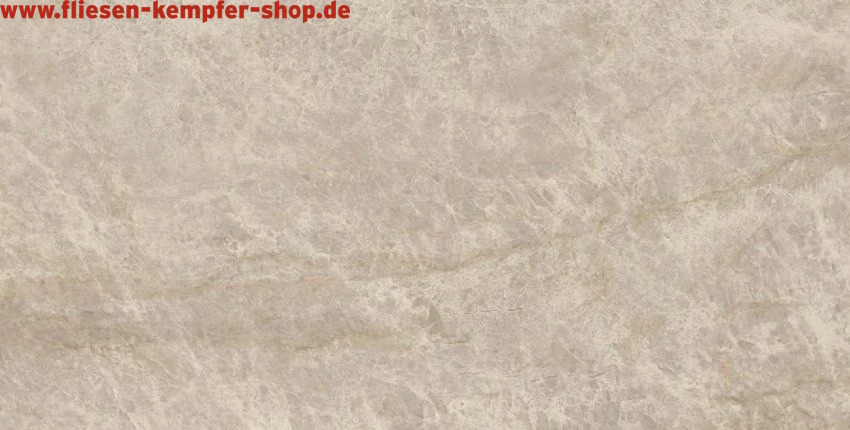 Fliese Tajal Bernstein matt 30x60 cm, XXL