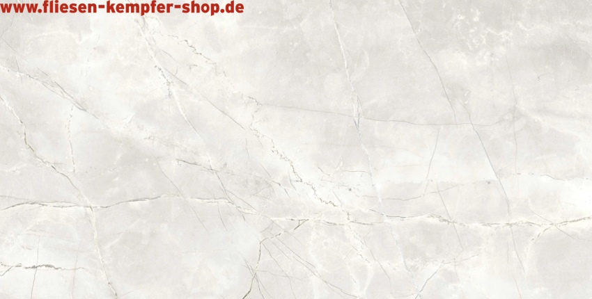 Fliese Amandus silber matt 120x120 cm, Bodenfliese / Wandfliese