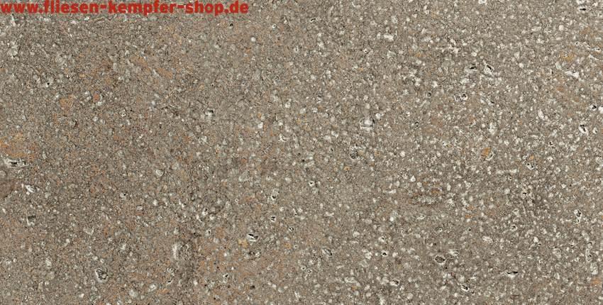 Fliese Pompei grau natur 20x40 cm, Bodenfliese / Wandfliese