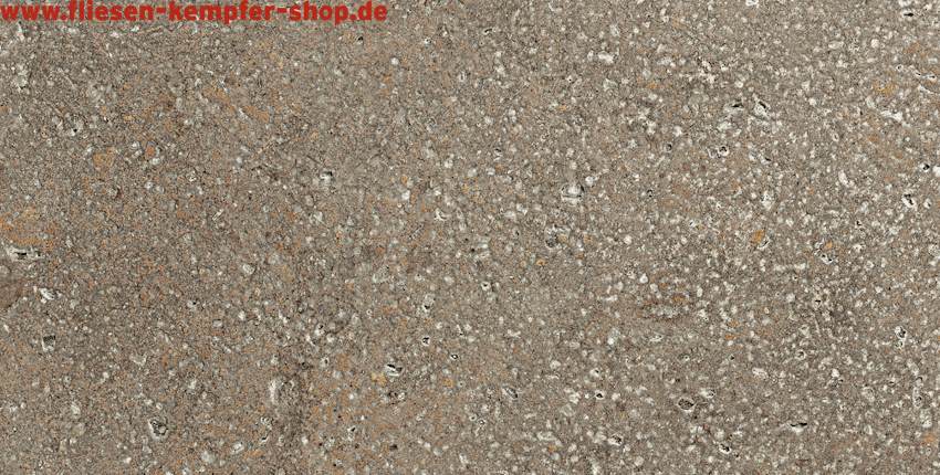 Fliese Pompei grau natur 20x20 cm, Bodenfliese / Wandfliese