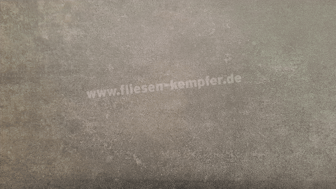 Fliese Leon grau 30 x 60 cm