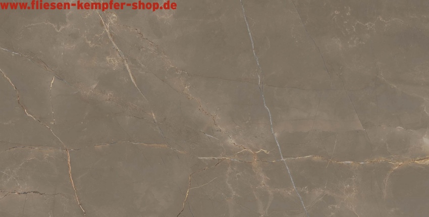 Fliese Amandus braun Hochglanz poliert 120x120 cm, Bodenfliese / Wandfliese