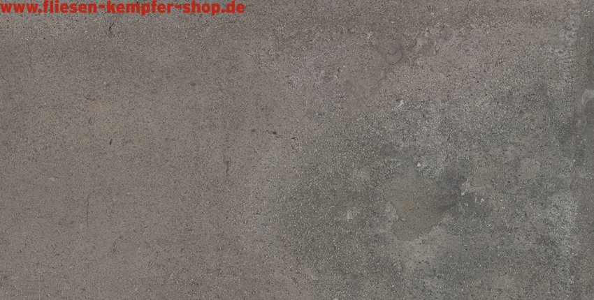Fliese Tyrion dunkelgrau 30x60 cm, Bodenfliese / Wandfliese