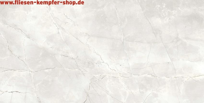 Fliese Amandus silber Hochglanz poliert 60x120 cm, Bodenfliese / Wandfliese