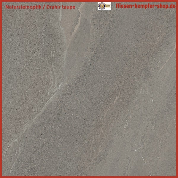 Fliese Drahir taupe natur 60 x 60 cm