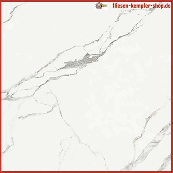 Fliese Statuario poliert 60 x 60 cm