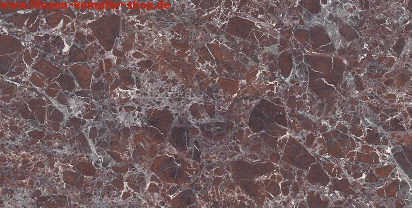 Fliese Louna Hochglanz poliert 60x120 cm, Bodenfliese / Wandfliese