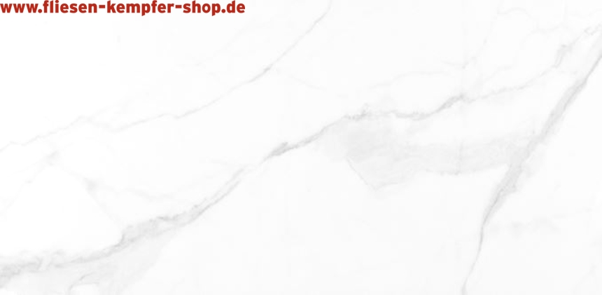 Fliese Essenz White poliert 60x120 cm Bodenfliese / Wandfliese