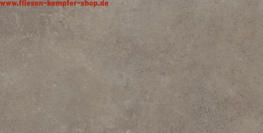 Fliese Tyrion hellgrau 30x60 cm, Bodenfliese / Wandfliese