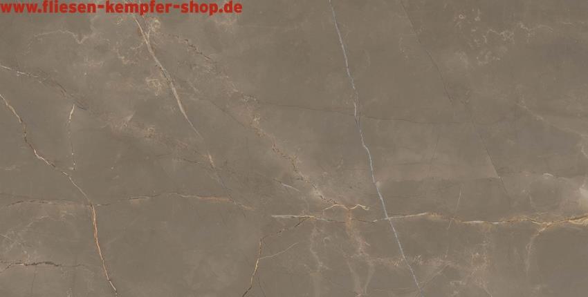 Fliese Amandus braun Hochglanz poliert 120x280 cm, Bodenfliese / Wandfliese